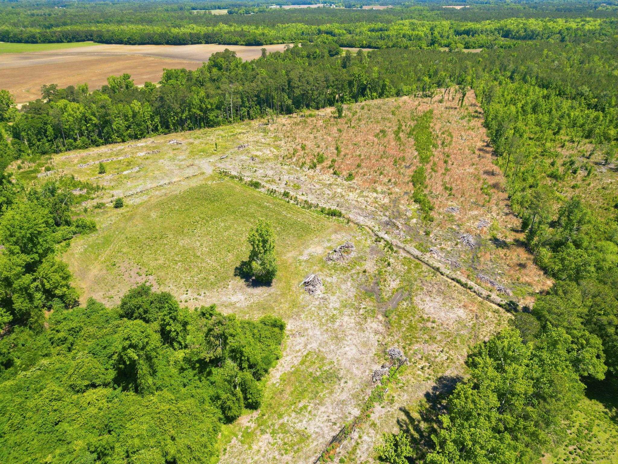 792 Highway 792 Loris, SC 29569 - Photo 8 of 16