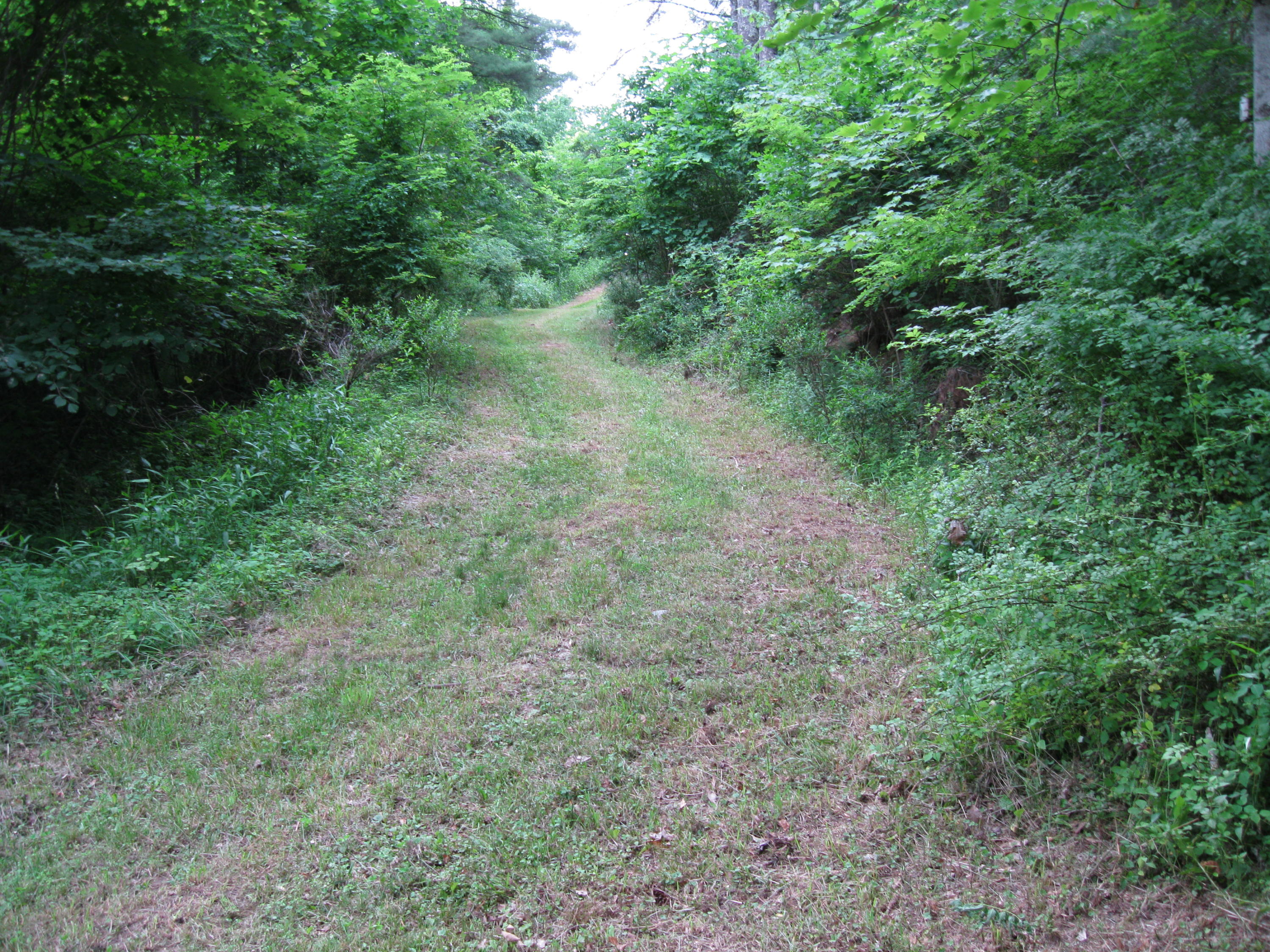 425 Squirrel Ridge Road Caldwell, WV 24925 - Photo 4 of 5 Gallery Image 4
