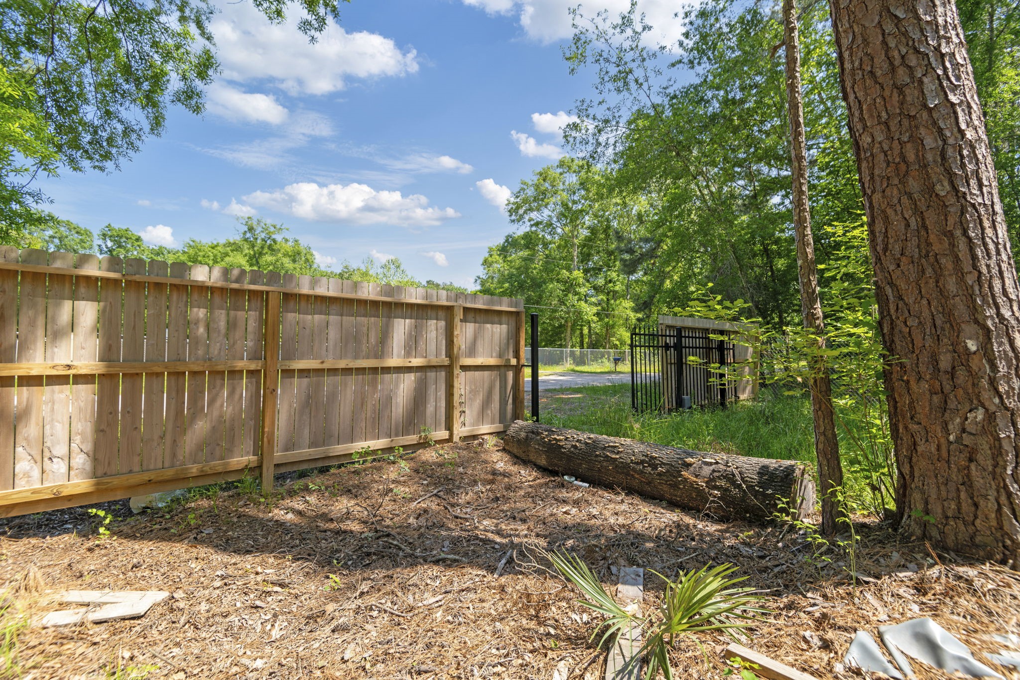 65 Ash Place New Caney, TX 77357 - Photo 14 of 19