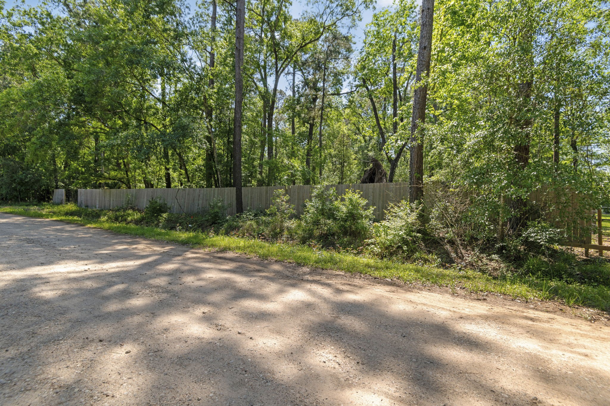 65 Ash Place New Caney, TX 77357 - Photo 18 of 19
