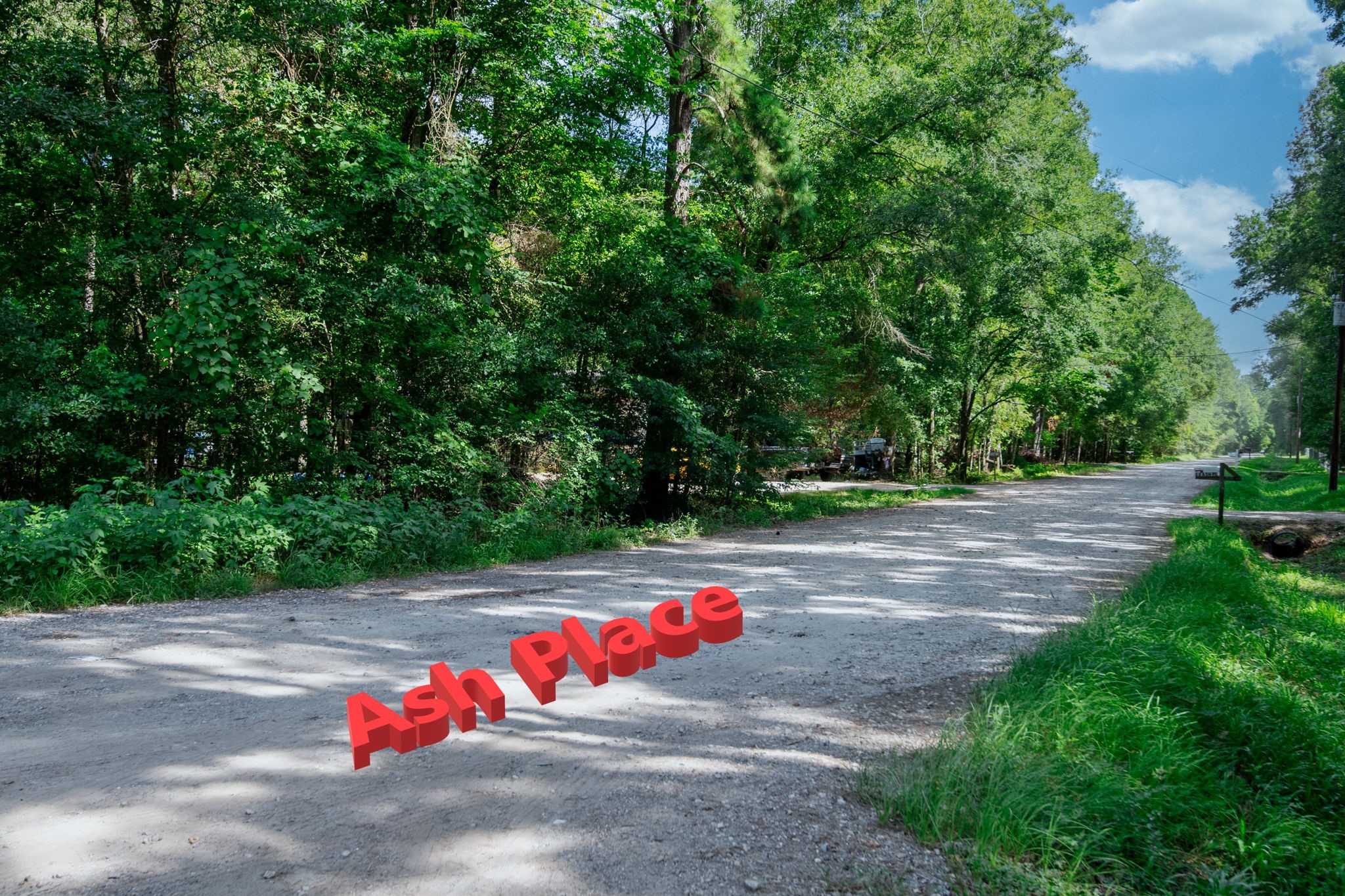 65 Ash Place New Caney, TX 77357 - Photo 2 of 19