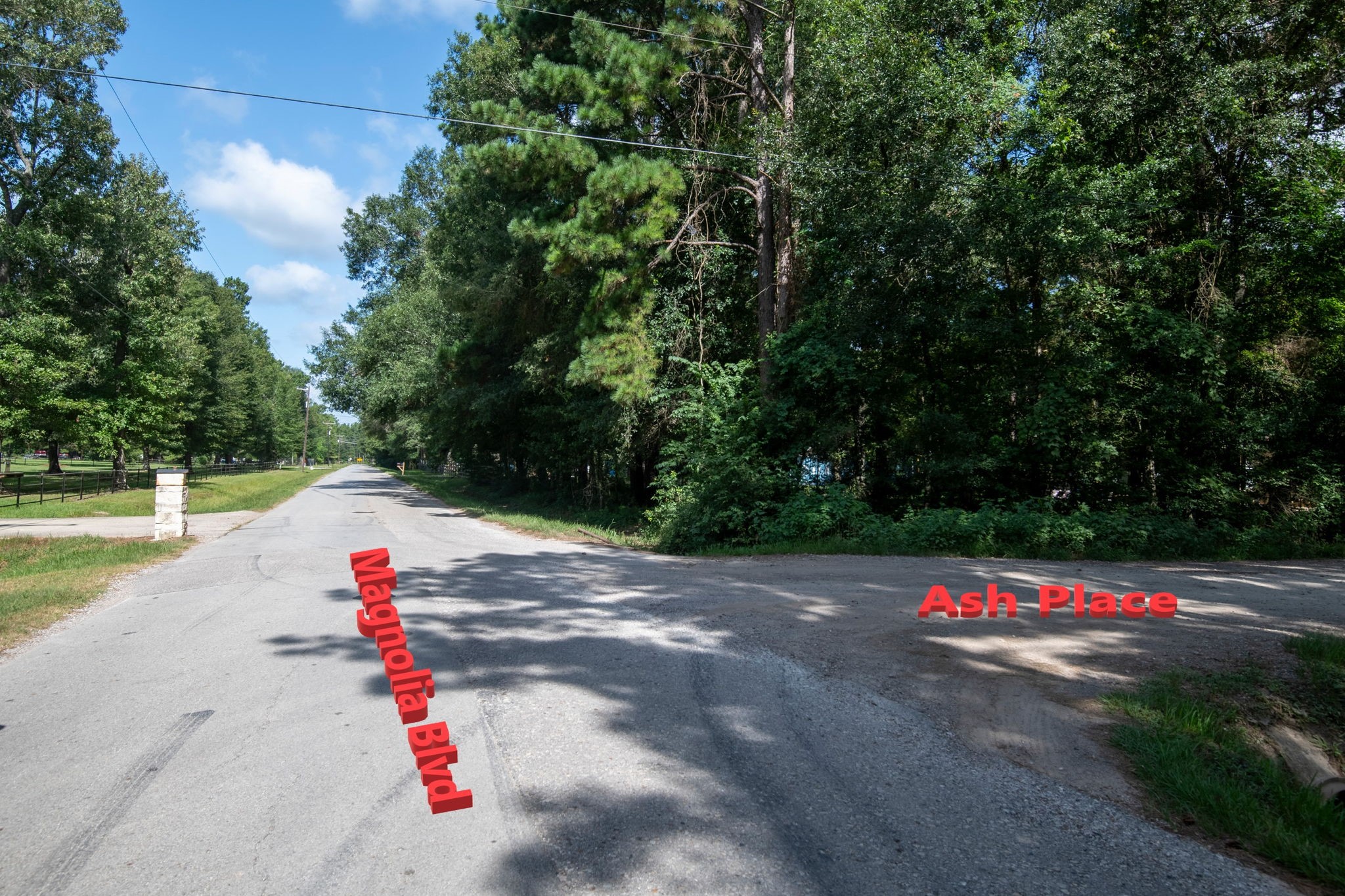 65 Ash Place New Caney, TX 77357 - Photo 3 of 19
