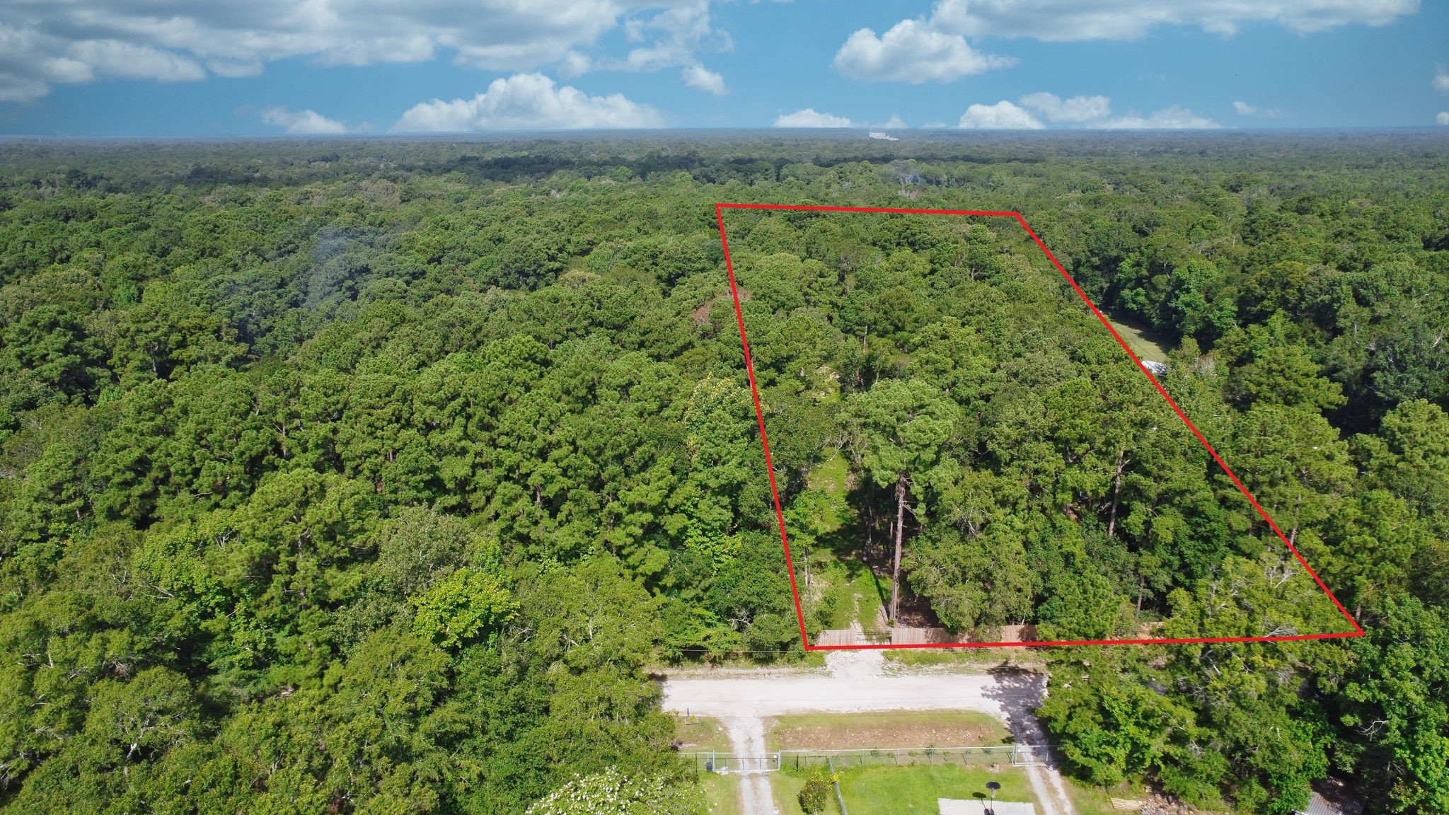 65 Ash Place New Caney, TX 77357 - Photo 4 of 19