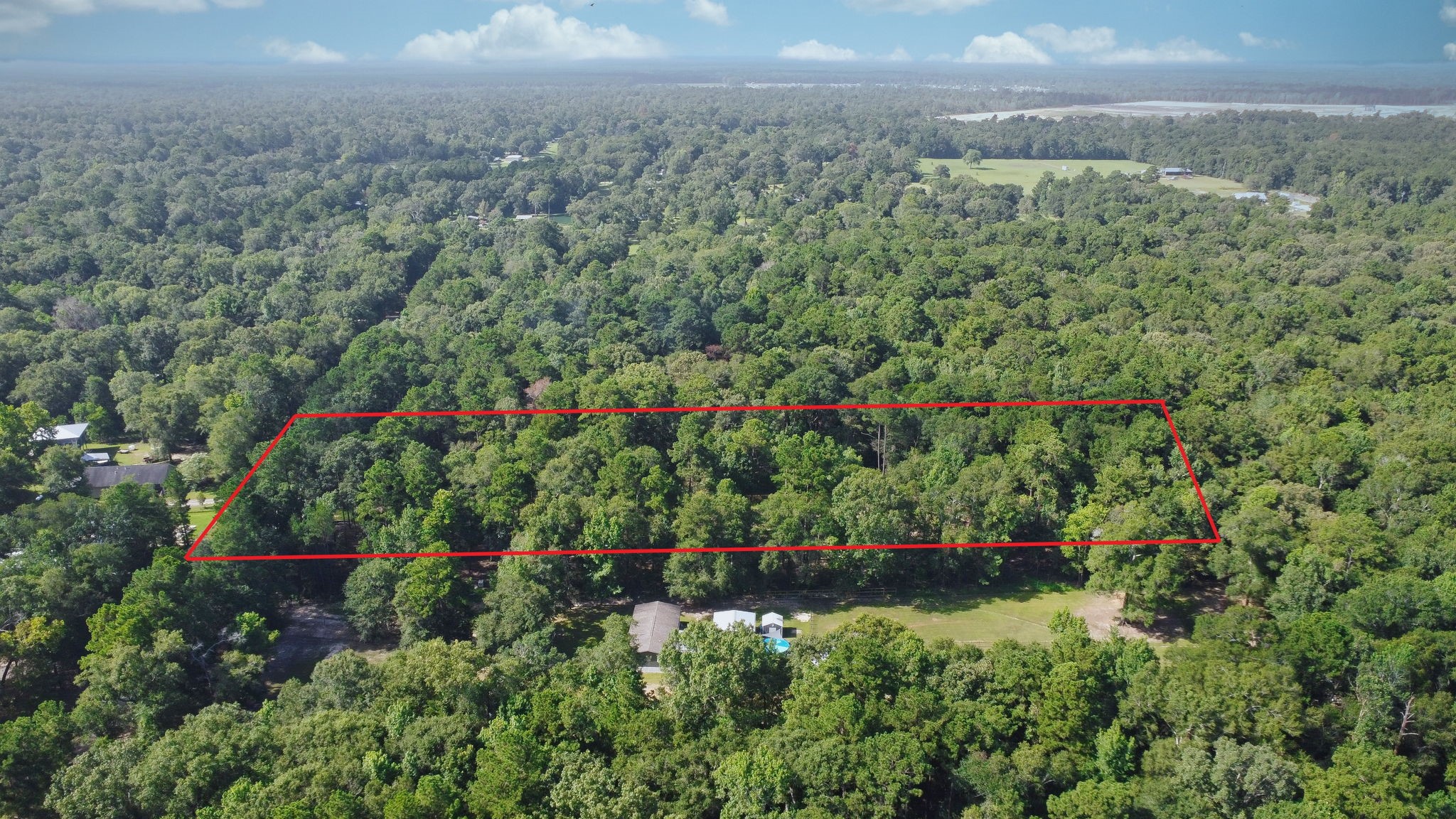 65 Ash Place New Caney, TX 77357 - Photo 5 of 19