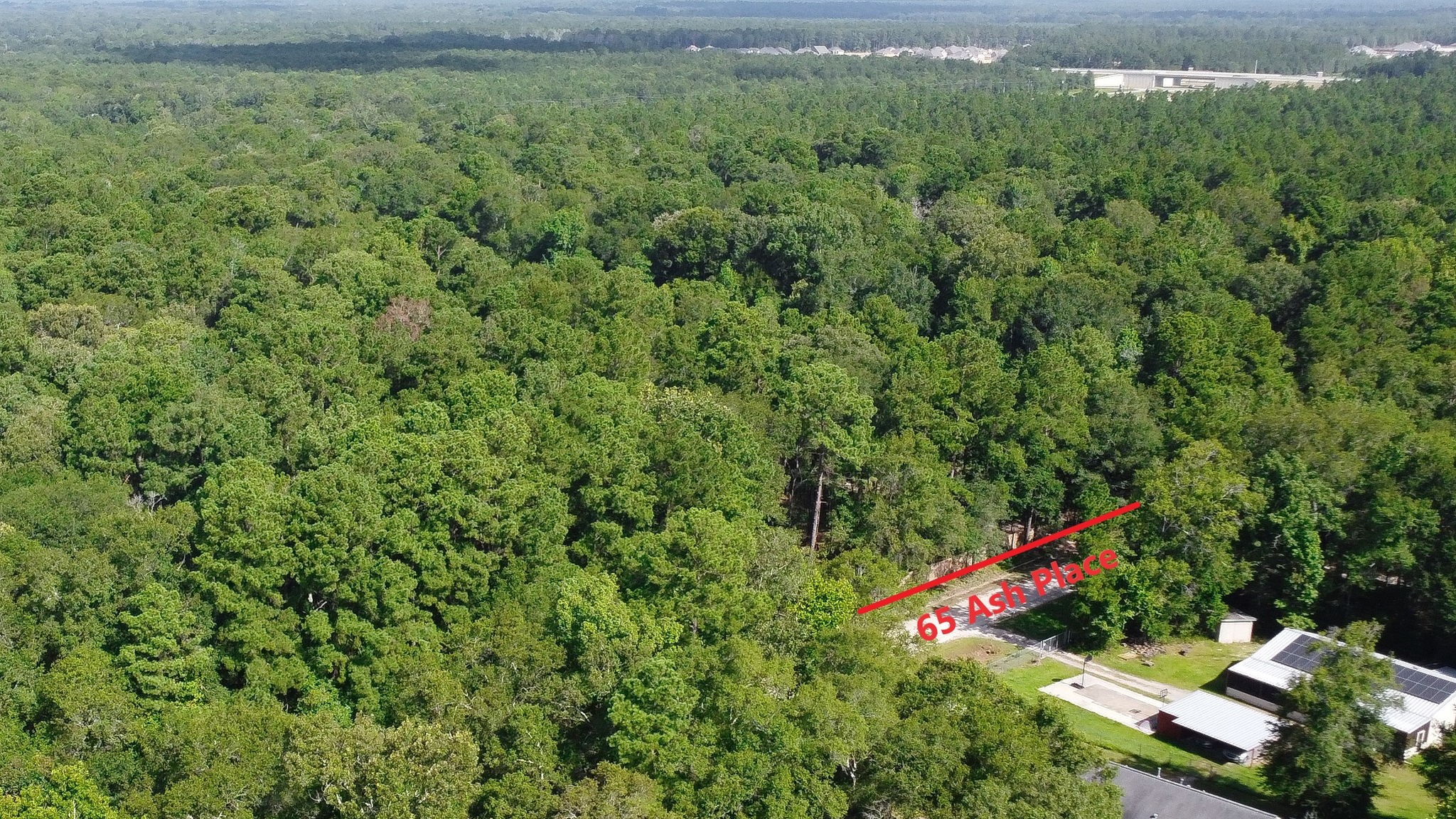 65 Ash Place New Caney, TX 77357 - Photo 10 of 19