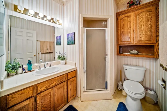 a bathroom with a sink a toilet and shower