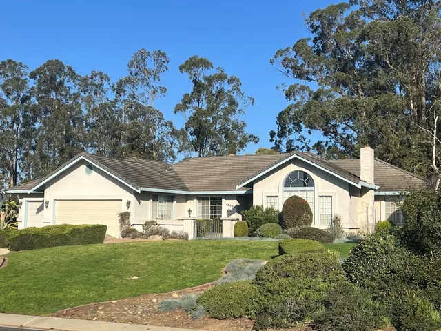 a view of a house with a yard and plants