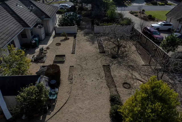 a view of a backyard