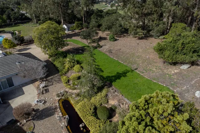 a view of a garden with plants