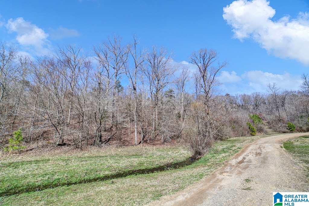 39080 Highway 231 Steele, AL 35987 - Photo 3 of 37
