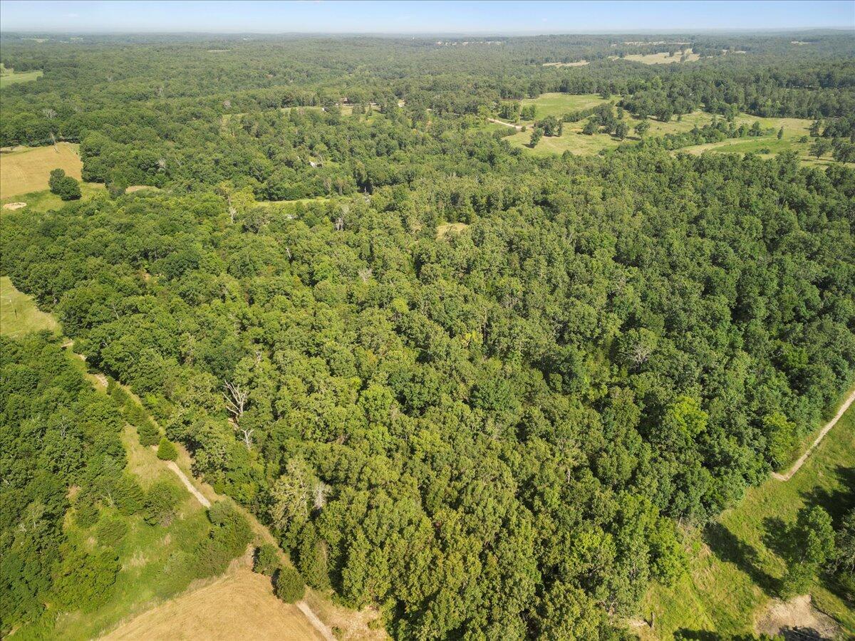 0 State Rte OO Caulfield, MO 65626 - Photo 15 of 24 11-DJI_0682