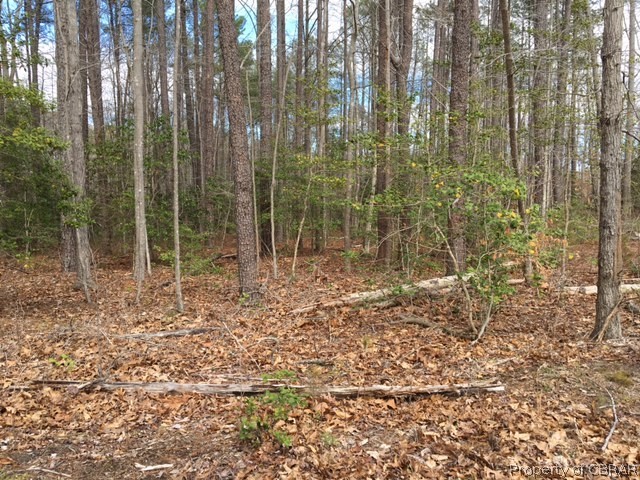 Lot Coopers Coopers Landing Road Heathsville, VA 22473 - Photo 1 of 4