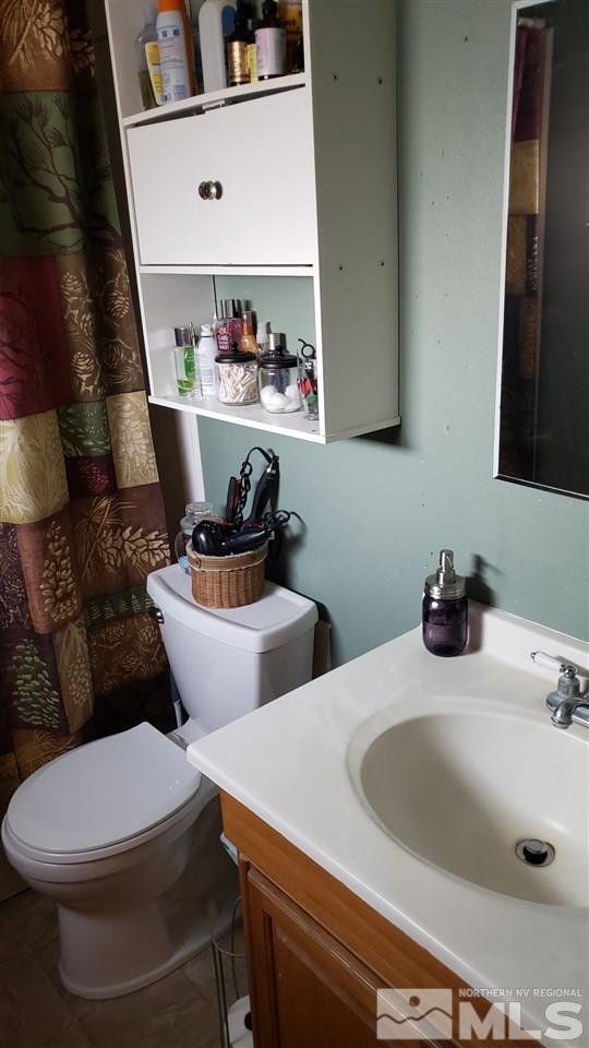 1505 Soda Lake Road Fallon, NV 89406 - Photo 24 of 31 a bathroom with a sink and a toilet