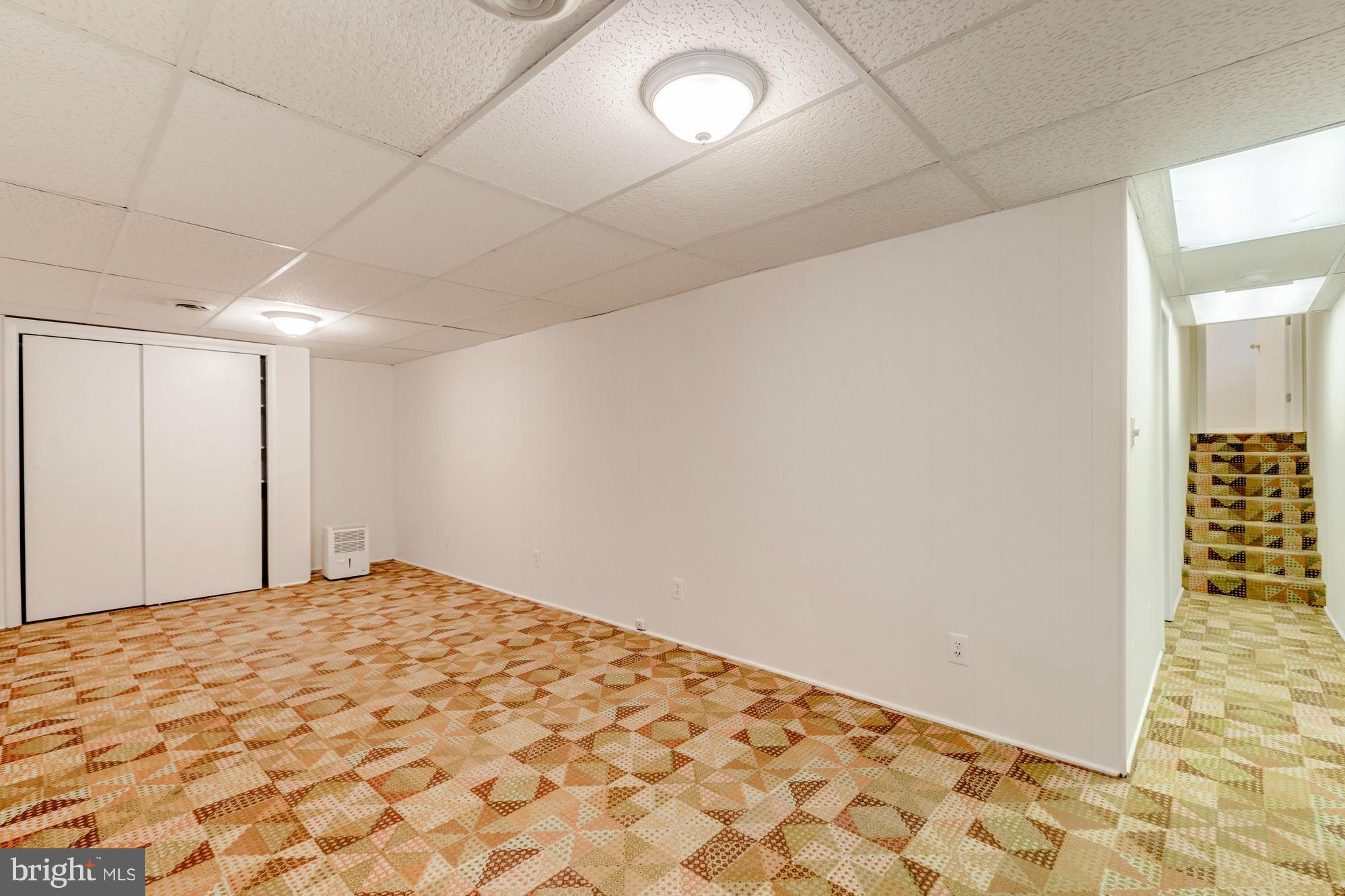 1004 Ruppert Road Silver Spring, MD 20903 - Photo 18 of 22 subbasement