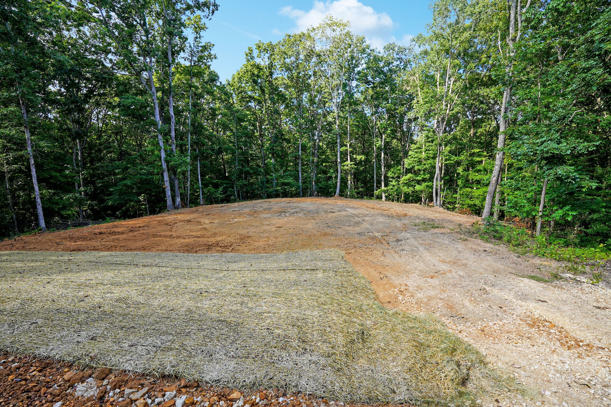 610 Walnut Grove Road Dover, TN 37058 - Photo 9 of 38 Gallery Image 9