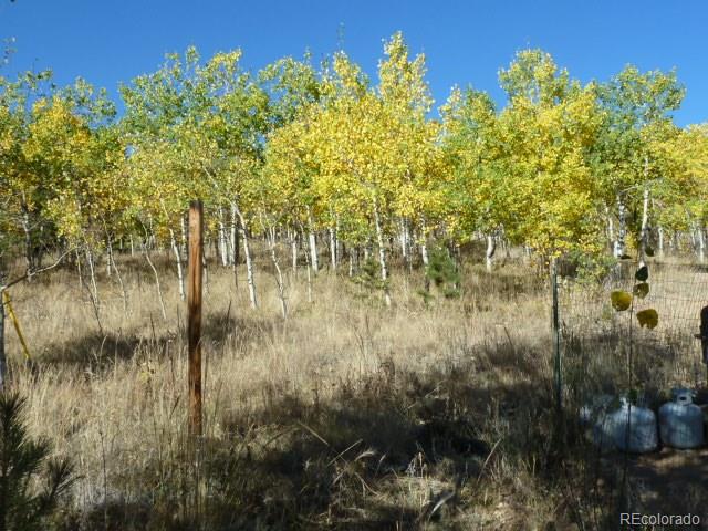162 Timber Top Road Bailey, CO 80421 - Photo 12 of 14
