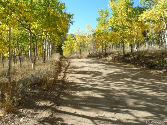 162 Timber Top Road Bailey, CO 80421 - Photo 14 of 14