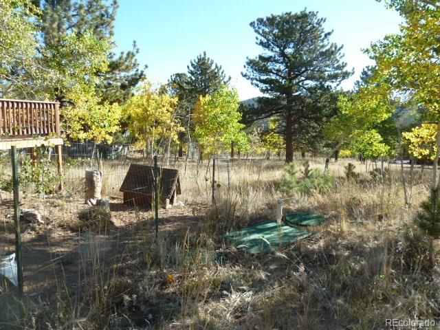 162 Timber Top Road Bailey, CO 80421 - Photo 9 of 14