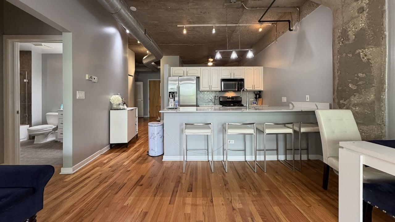1069 West 14th Place, Unit 229 Chicago, IL 60608 - Photo 4 of 25