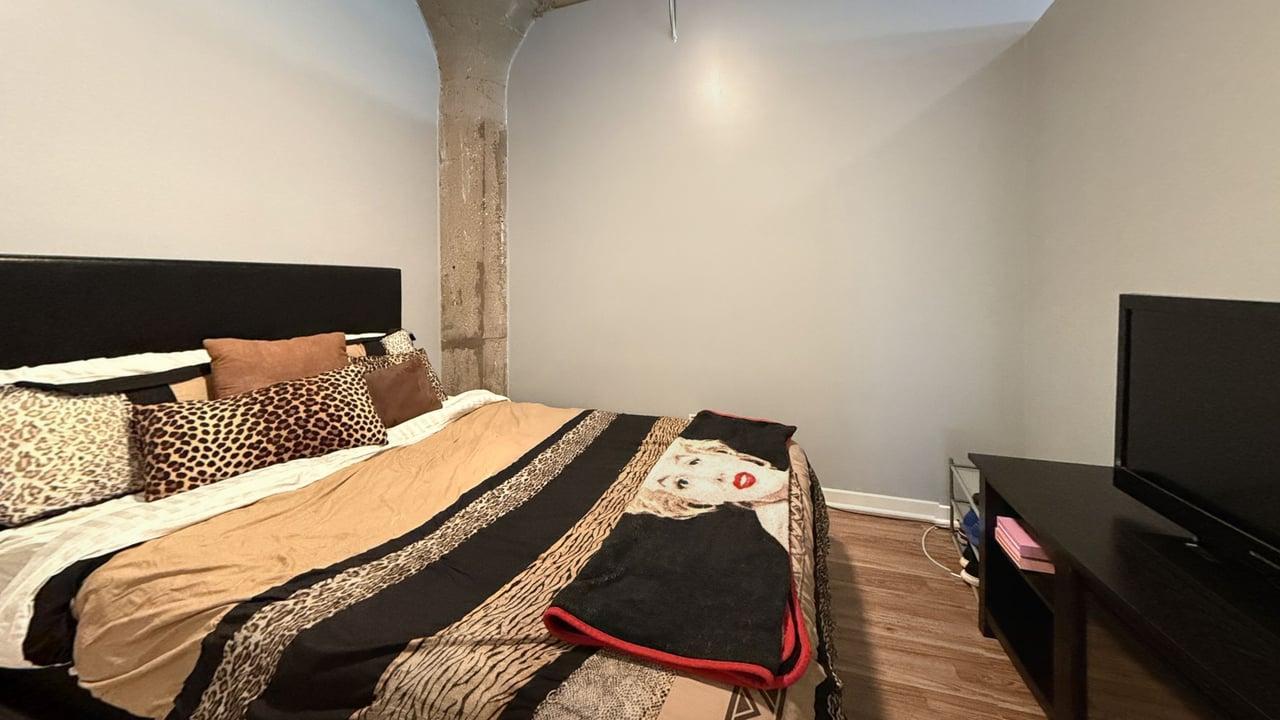 1069 West 14th Place, Unit 229 Chicago, IL 60608 - Photo 9 of 25