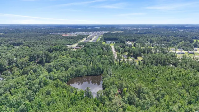 $2,250,000 | 1351 Highway 90, Conway, SC 29526