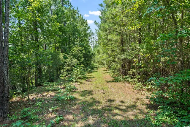 $2,250,000 | 1351 Highway 90, Conway, SC 29526