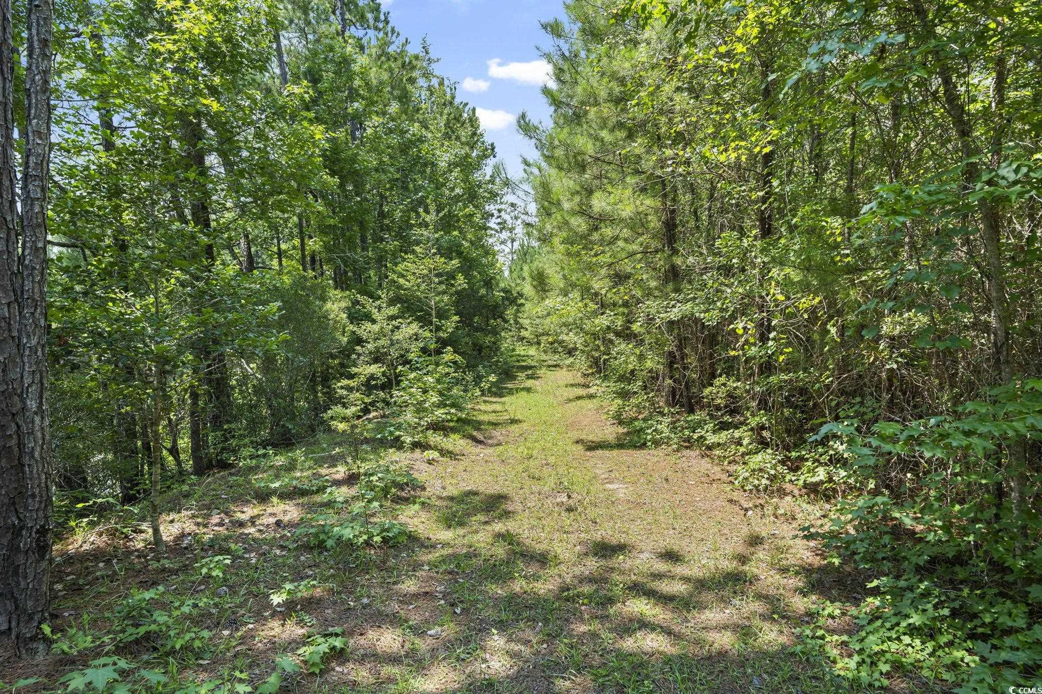 1351 Highway 90 Conway, SC 29526 - Photo 13 of 30