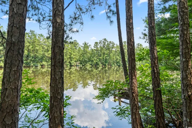 $2,250,000 | 1351 Highway 90, Conway, SC 29526