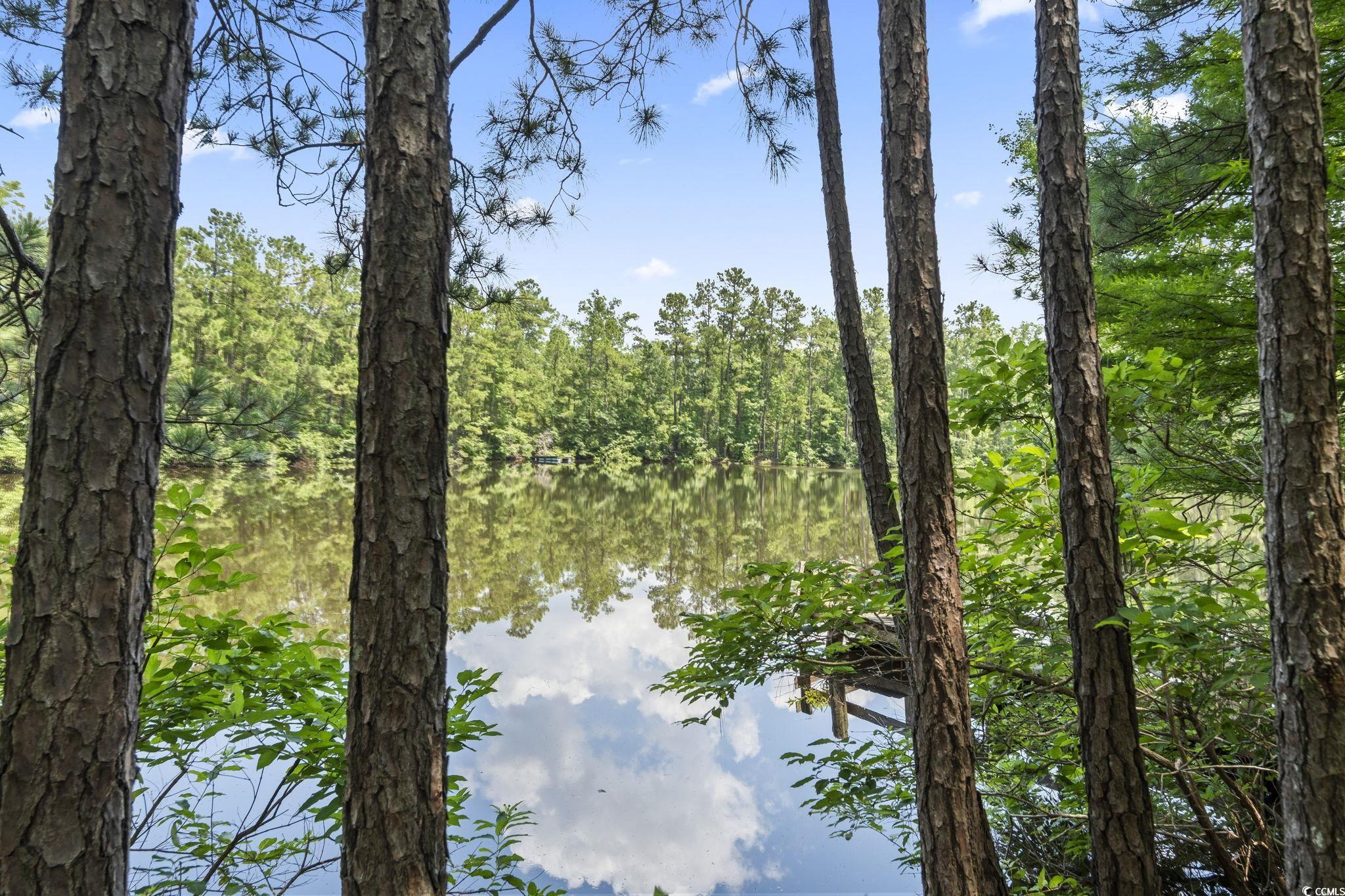 1351 Highway 90 Conway, SC 29526 - Photo 16 of 30