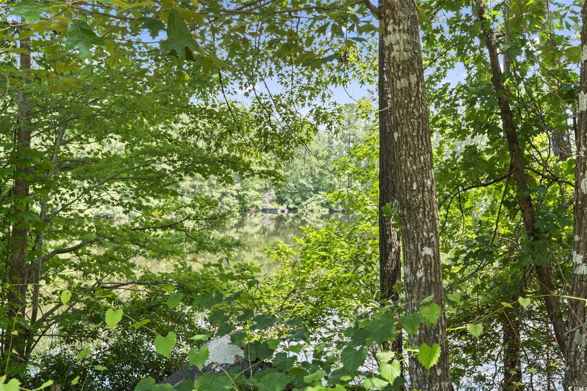 1351 Highway 90 Conway, SC 29526 - Photo 17 of 30