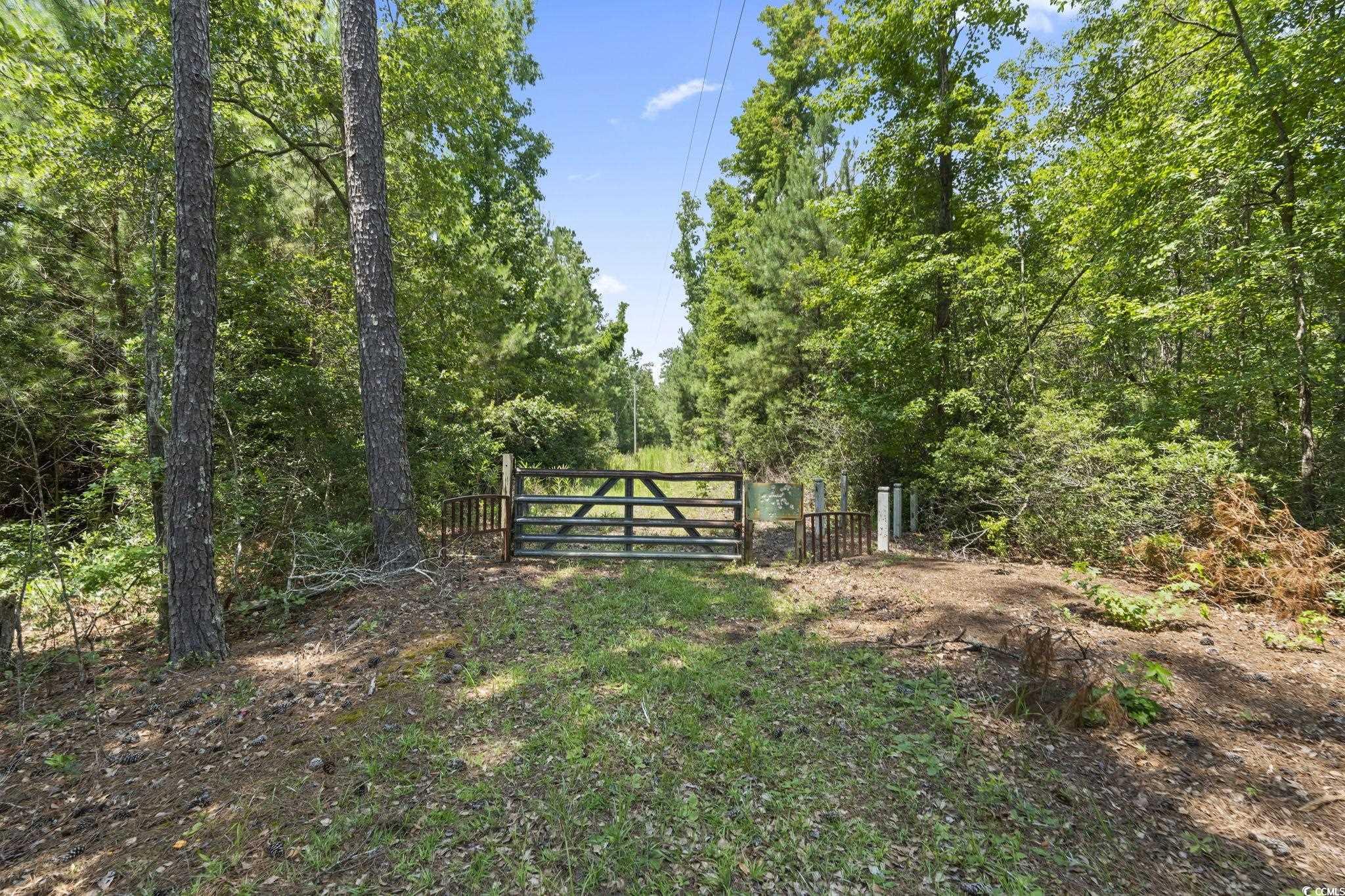 1351 Highway 90 Conway, SC 29526 - Photo 2 of 30