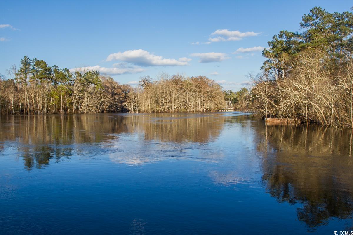 1351 Highway 90 Conway, SC 29526 - Photo 28 of 30