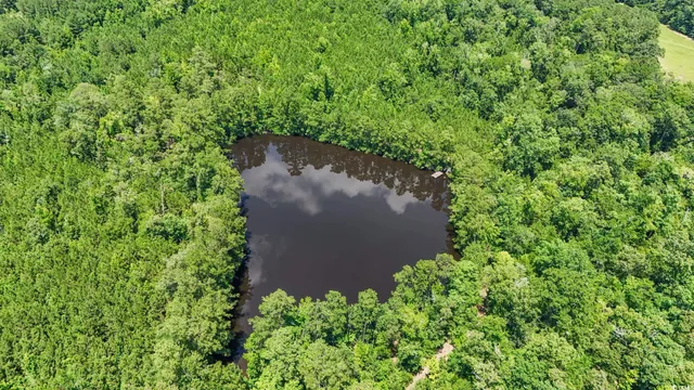 $2,250,000 | 1351 Highway 90, Conway, SC 29526