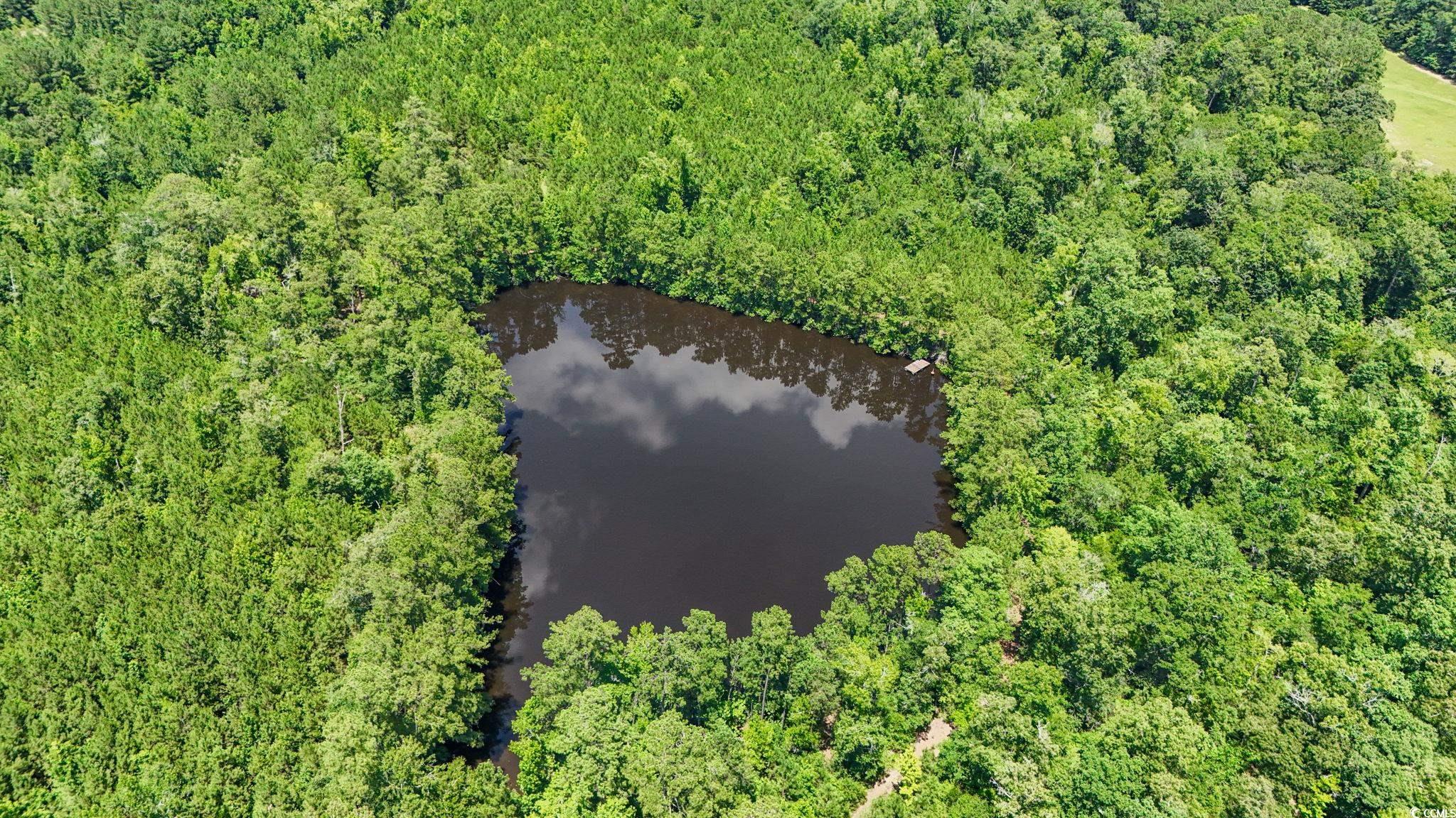 1351 Highway 90 Conway, SC 29526 - Photo 4 of 30