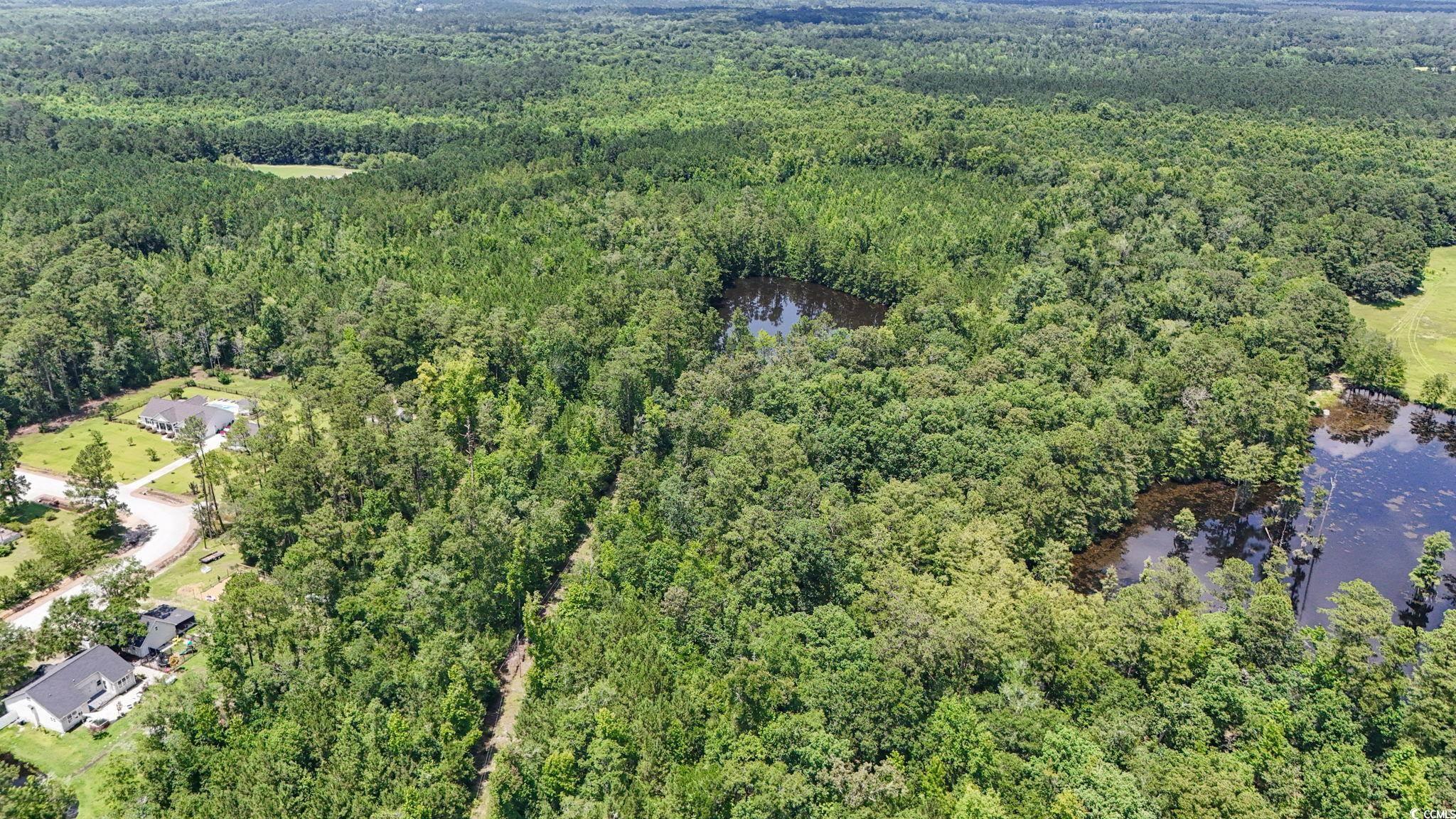 1351 Highway 90 Conway, SC 29526 - Photo 5 of 30