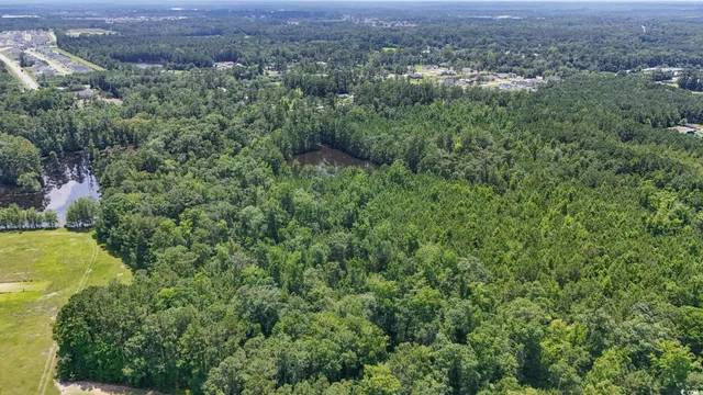 $2,250,000 | 1351 Highway 90, Conway, SC 29526