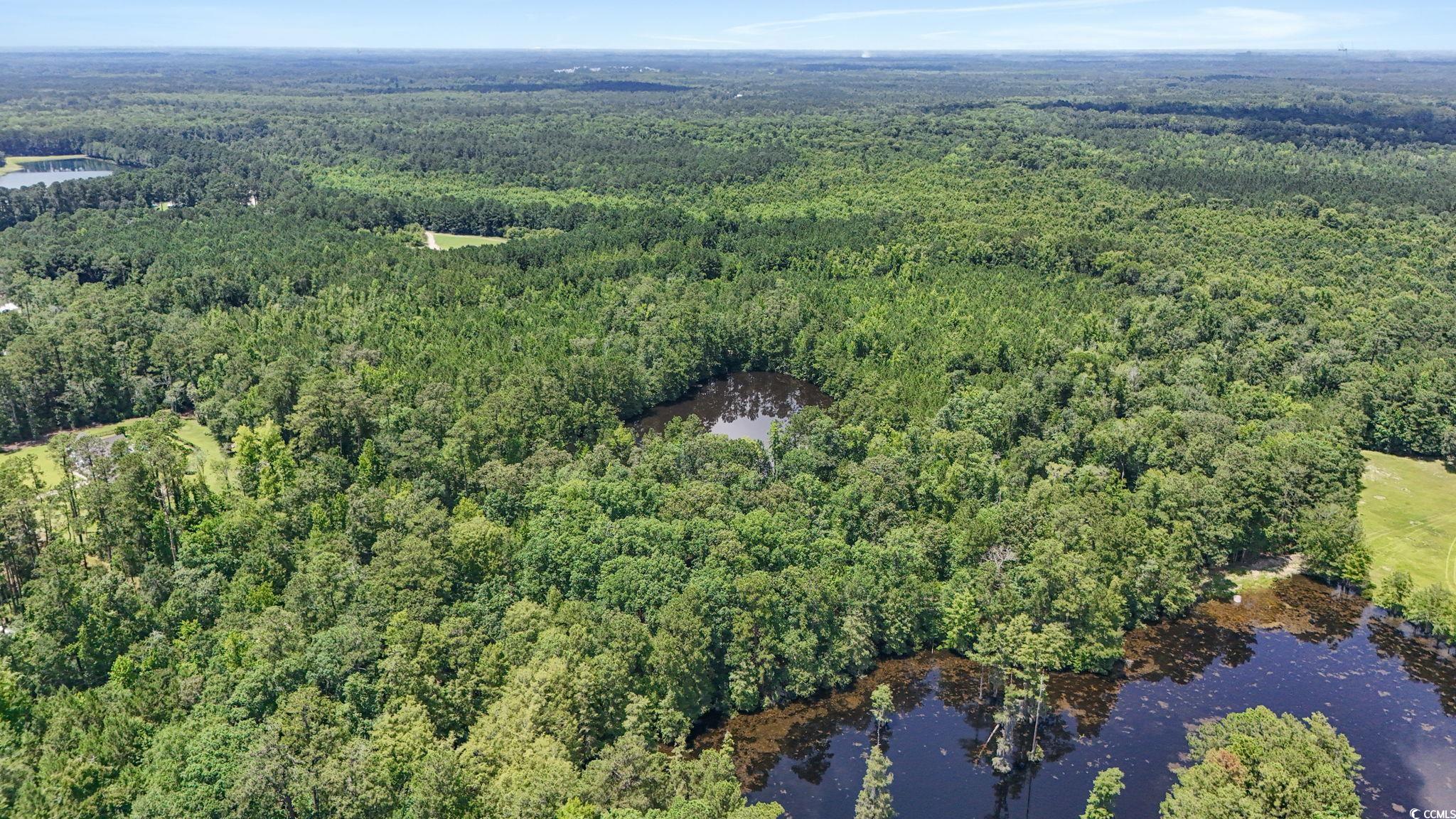 1351 Highway 90 Conway, SC 29526 - Photo 9 of 30