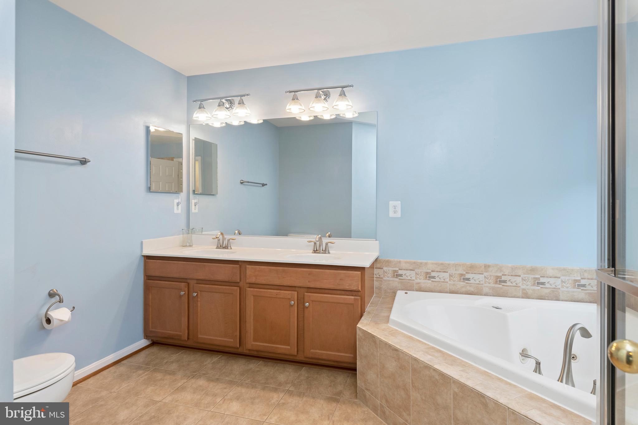 1496 Chesterfield Road Locust Grove, VA 22508 - Photo 21 of 37 Double Sinks & Deep Soaking Tub