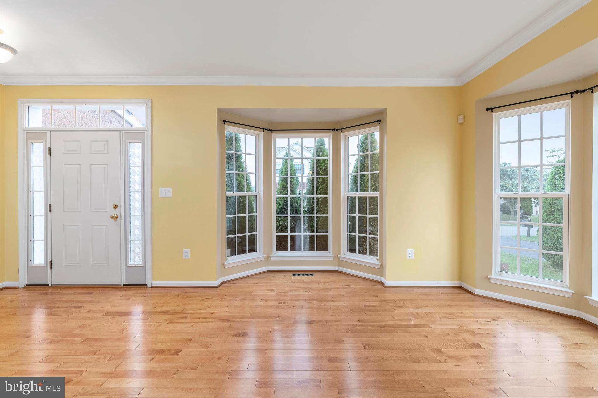1496 Chesterfield Road Locust Grove, VA 22508 - Photo 10 of 37 Beautifully Detailed Windows