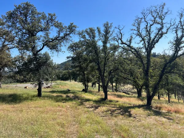 a view of open space with trees