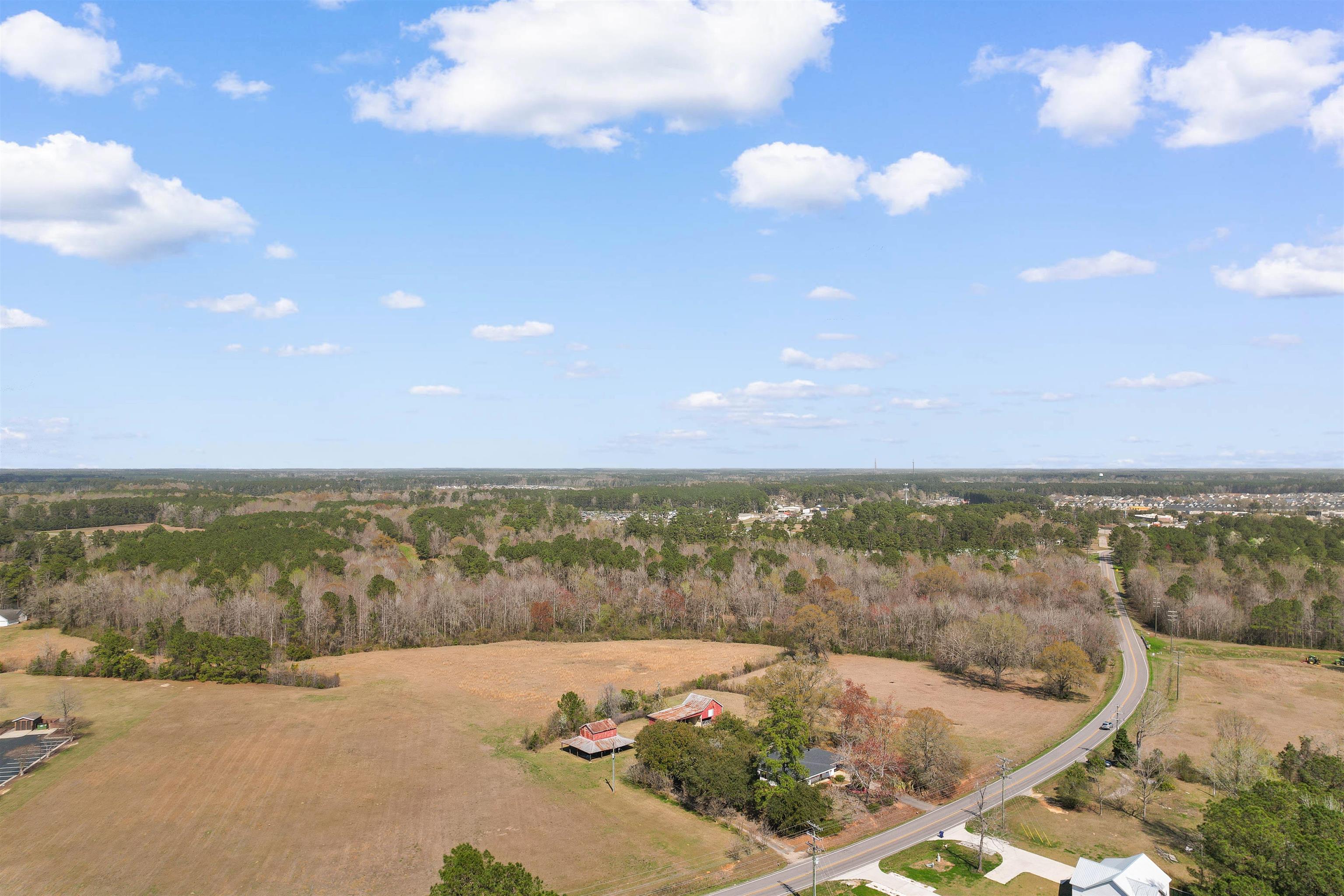 440 Dunn Short Cut Road Conway, SC 29527 - Photo 32 of 47