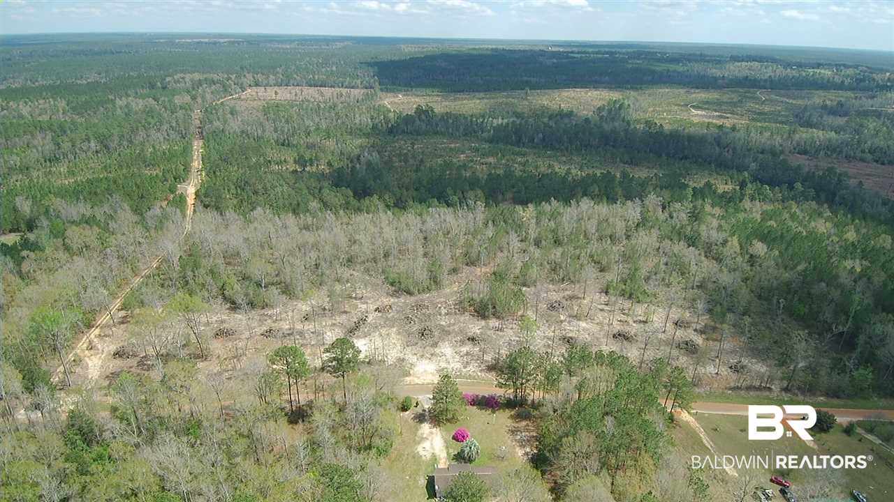 5-6 Dixon Nursery Road Brewton, AL 36426 - Photo 5 of 21
