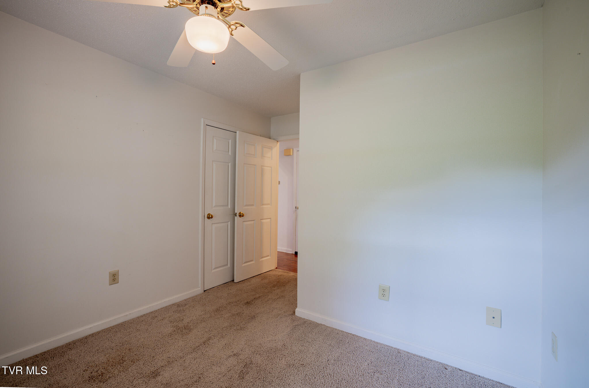 1520 Ripley Island Road Afton, TN 37616 - Photo 11 of 34 1R9A9854-HDR
