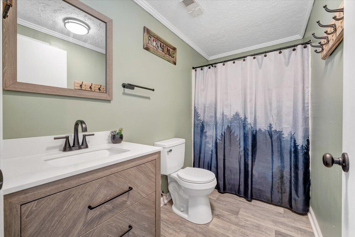 1111 Jefferson Dock Road Penhook, VA 24137 - Photo 26 of 50 a bathroom with a sink a toilet and a mirror