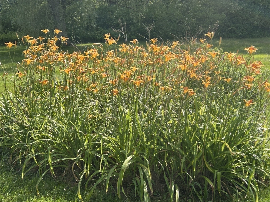 21 Fred Jackson Road Southwick, MA 01077 - Photo 18 of 35