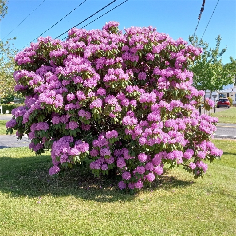 21 Fred Jackson Road Southwick, MA 01077 - Photo 19 of 35
