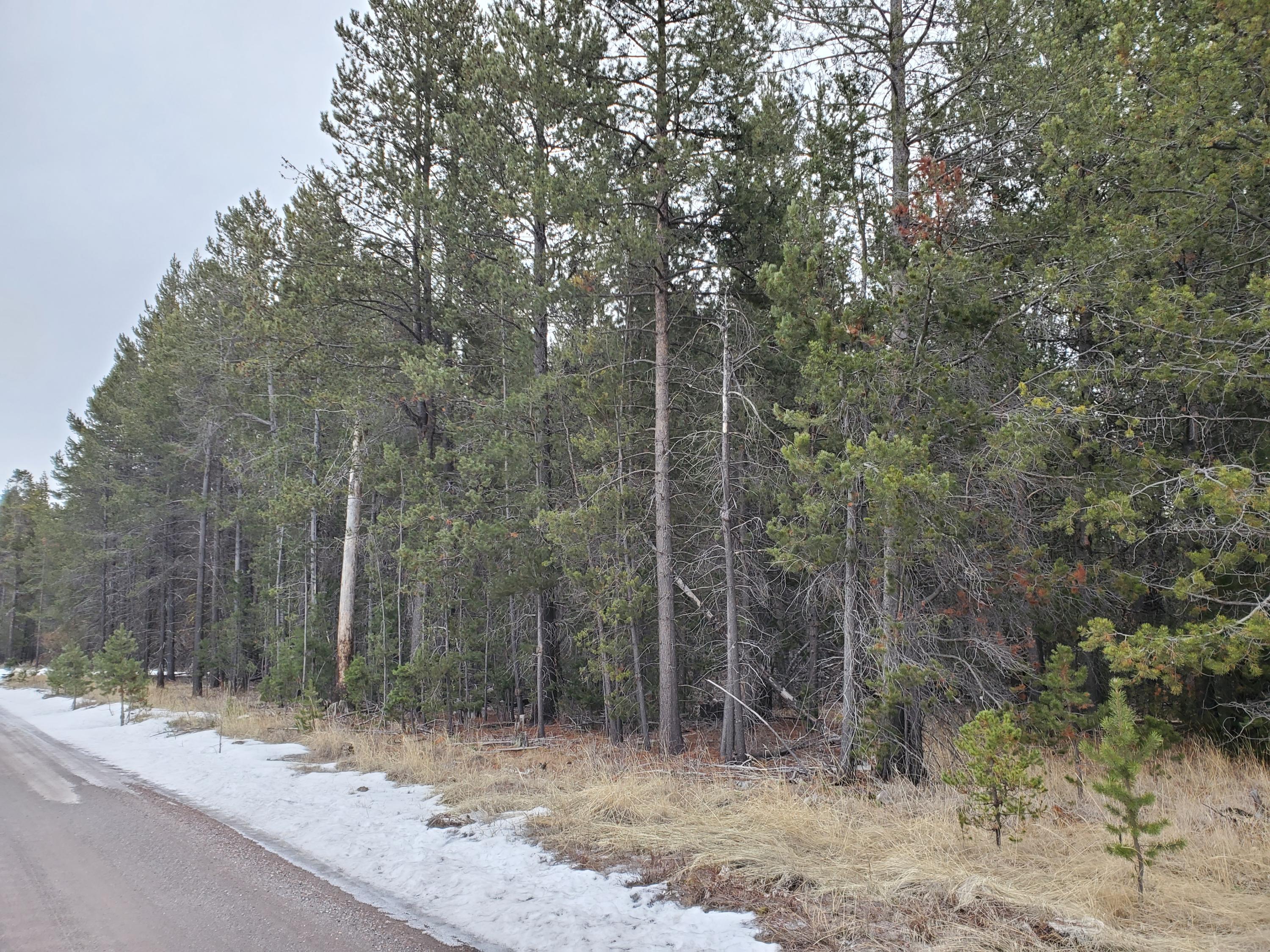 16917 Fontana Road Bend, OR 97707 - Photo 1 of 4 a view of a forest filled with trees