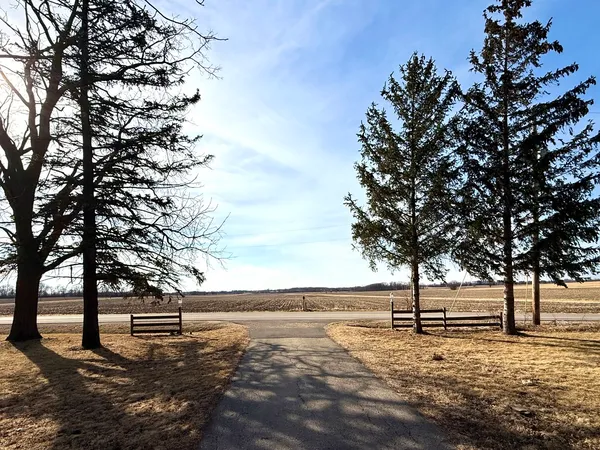 a view of a yard with large trees