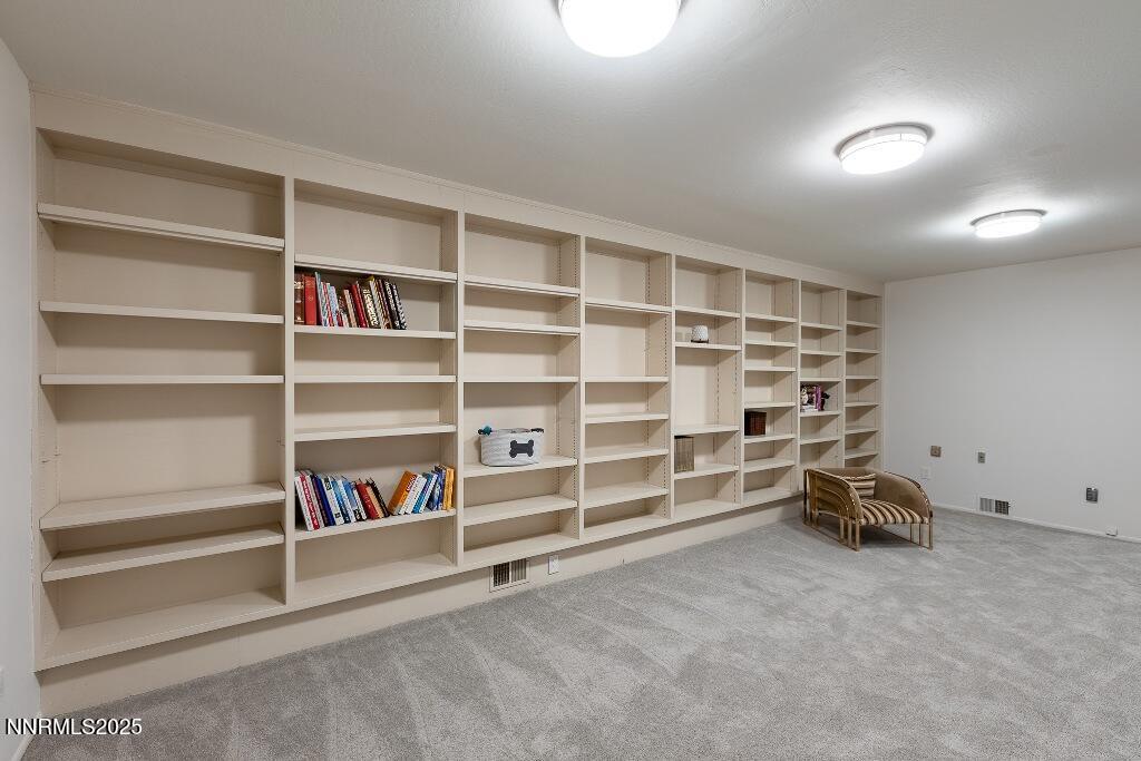 4811 Lakeridge Terrace West Reno, NV 89509 - Photo 37 of 43 Basement 4
