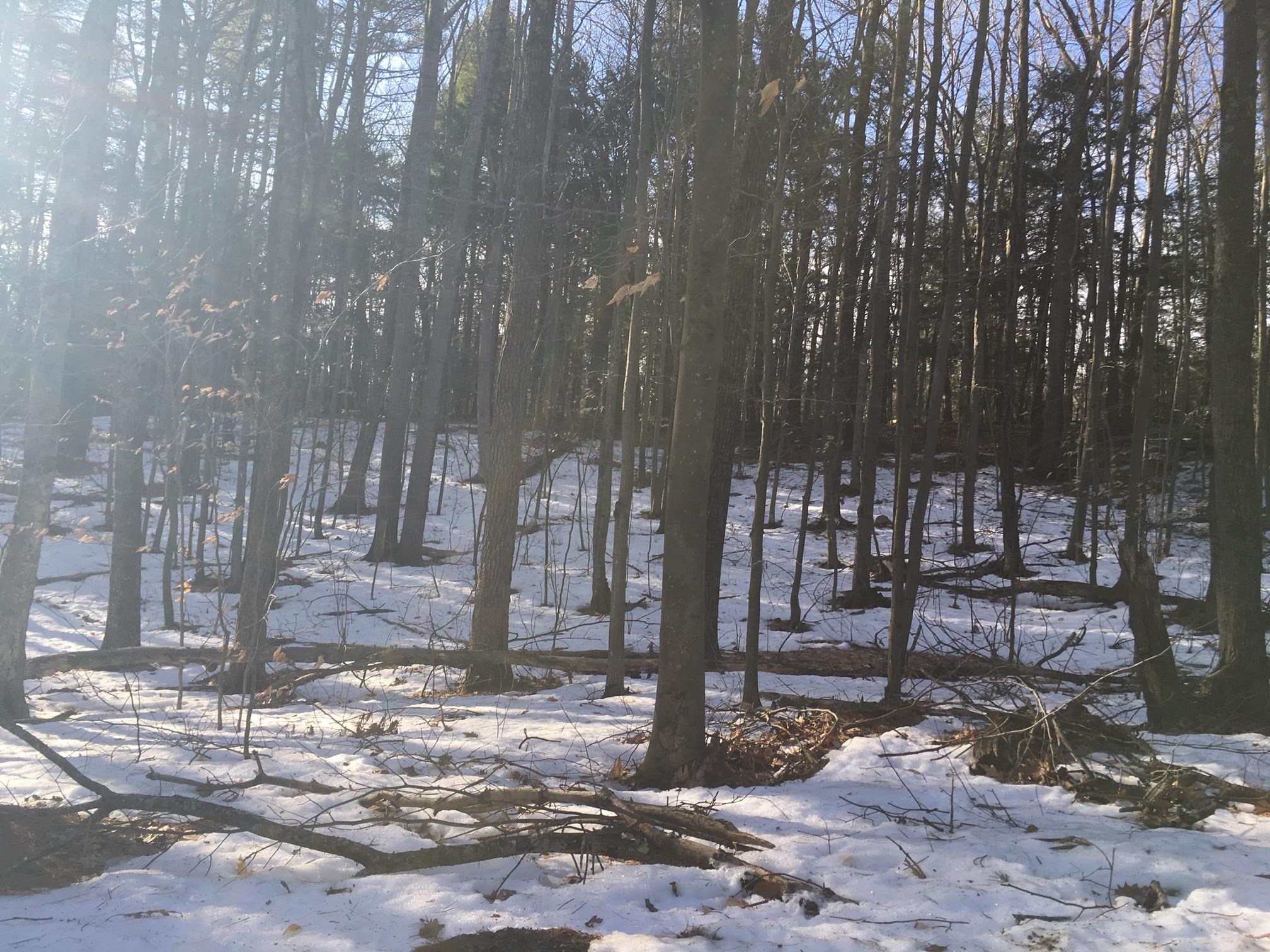 Lot 26 Ripley Lane Milton, NH 03851 - Photo 2 of 4